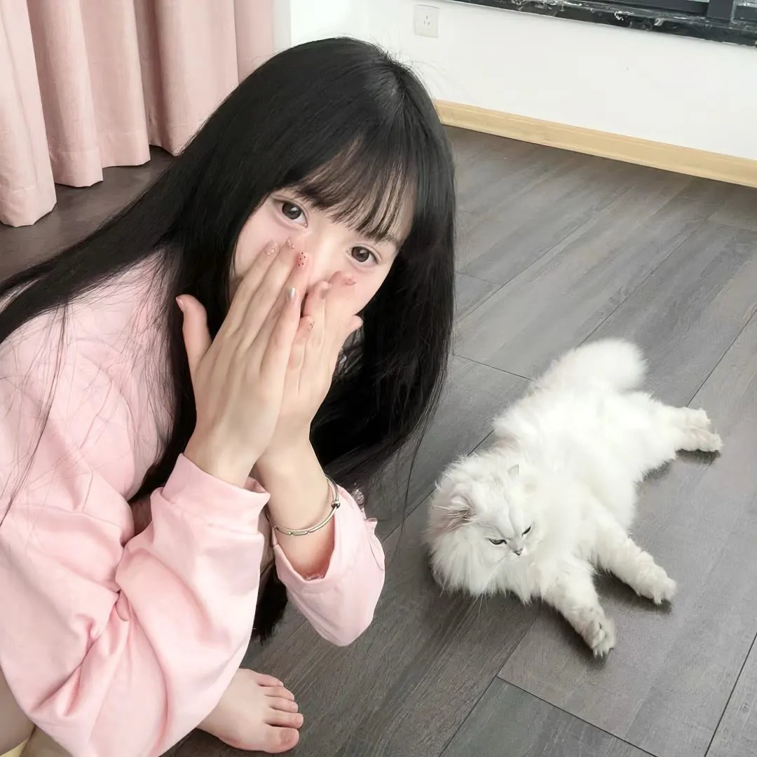 不了情