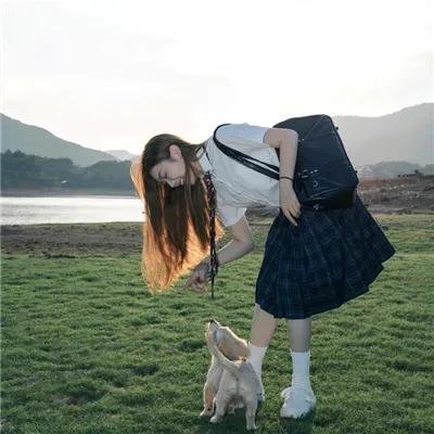 机甲少女 FRAME ARMS GIRL~高高兴兴的幻境~